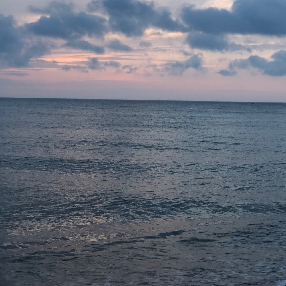 Meet your Posher, Lucy